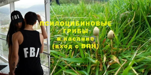 крисы Балабаново
