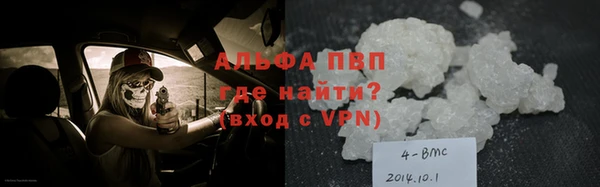 трава Белокуриха