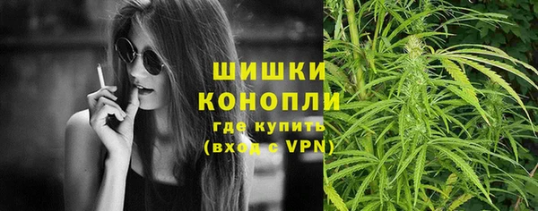 гашик Дмитриев