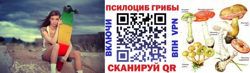 shop как зайти  где найти   Борисоглебск  Псилоцибиновые грибы MAGIC MUSHROOMS 